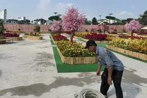 HCMC strengthens oversight of temporary parks on vacant land