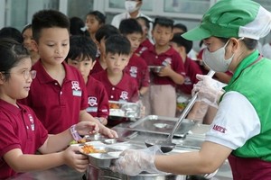 Pressure grows to strengthen food safety for schoolchildren