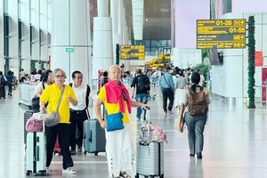 Vietnam to roll out pre-arrival information system nationwide after pilot period