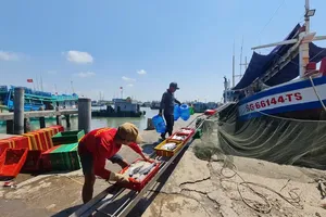Ho Chi Minh City pushes toward sustainable fisheries development