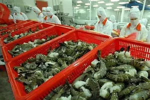 US announces preliminary anti-dumping tariffs on Vietnamese shrimp