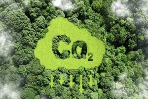 Ministry establishes monitoring framework for carbon market