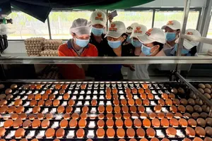 Vietnamese firms face EU pressure over carbon transparency compliance