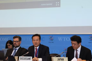 Vietnam attends Japan’s WTO Trade Policy Review session
