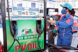 Government pledges strict oversight to ensure quality of E10 biofuel