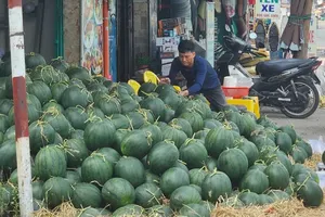 Fruit supply increases, prices drop across HCMC markets