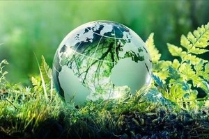 Digital, green transition promoted to boost private enterprise growth