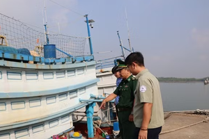 Ho Chi Minh City accelerates rollout of electronic fishing logbooks