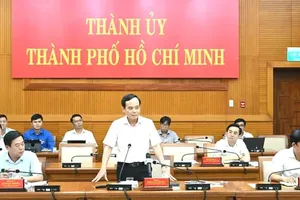HCMC to establish development research board before July 1