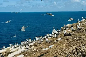 Con Dao envisioned as eco-spiritual tourism paradise by 2050