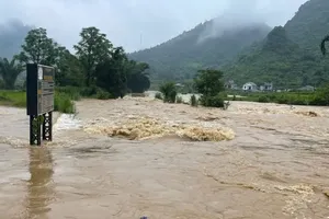 Heavy rain forecast to persist across Northern, Southern regions until July 1