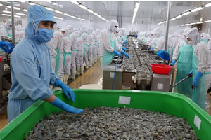 Vietnam's aquatic exports rise 12.8 percent in first half of 2026