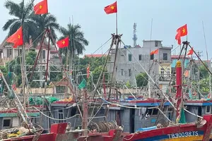 Quang Ninh, Ninh Binh to suspend marine activities as storm Maysak approaches