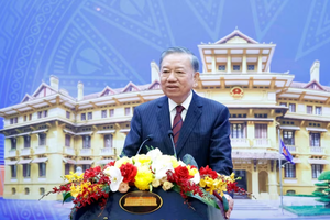 Foreign affairs must play pioneering role, provide sound advice and act promptly