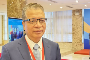 Vietnam's diplomacy must stay proactive, promote strategic standing in new era