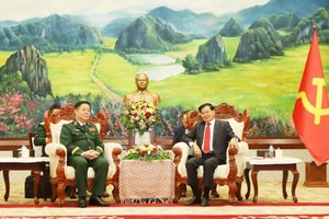 Vietnam, Laos strengthen political, defense ties