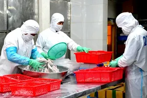 Vietnam’s seafood exports surpass US$12 billion annually