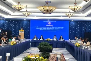 Ho Chi Minh City conducts governance review to unlock investment