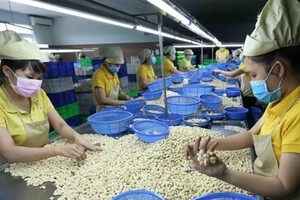 Vietnam’s exports to New Zealand post strong growth