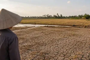 El Niño risks prompt call for proactive rice supply planning