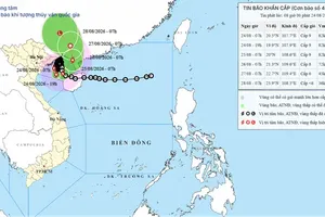 Typhoon Narra barely moves off Bach Long Vi Special Zone