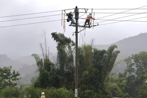 Typhoon Narra leaves over 56,000 customers without power