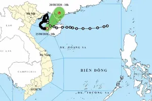 Typhoon No. 4 weakens into tropical depression earlier than forecast