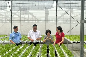 Ho Chi Minh City promotes high-tech agricultural value chains