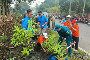 Nhiều hoạt động, công trình chào mừng Đại hội đại biểu Đảng bộ TPHCM 