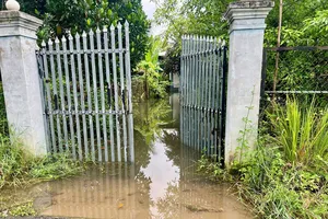 Phường Bến Cát (TPHCM) khảo sát thực tế tình hình ngập úng trên địa bàn