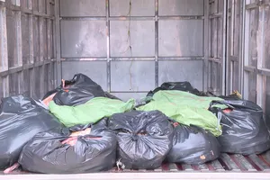 Phát hiện điểm tập kết hơn 2 tấn thịt vịt hôi thối tại phường Bến Cát