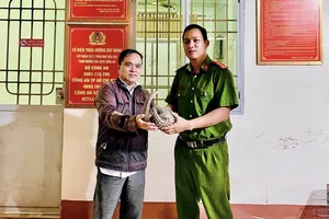 Người dân giao nộp tê tê bò trên đường