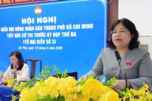 Bà Nguyễn Trường Nhật Phượng phát biểu tại hội nghị