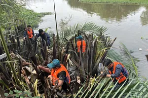 Chung tay dọn dẹp cảnh quan hơn 7.000m2 kênh rạch