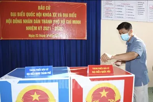 TPHCM thống nhất dùng giấy màu in thẻ cử tri