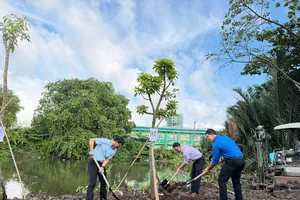 Nhiều phường xã hưởng ứng sôi nổi "Tết trồng cây đời đời nhớ ơn Bác"