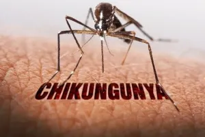 TPHCM: Bệnh Chikungunya đã từng lưu hành, nguy cơ tái xuất hiện ở mức cao 