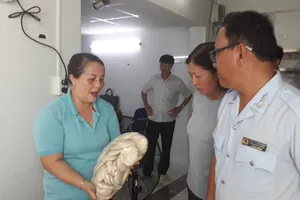 TPHCM lập đoàn kiểm tra cơ sở cung cấp suất ăn cho trường học