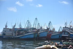 Tàu cá ngư dân TPHCM neo đậu tại khu vực Sao Mai, phường Vũng Tàu