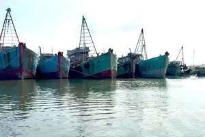 Bố trí 5 khu vực để neo đậu hơn 1.200 tàu, thuyền trên địa bàn xã nếu xảy ra bão