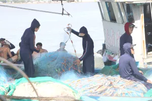 Chủ tàu cá “đỏ mắt” tìm bạn đi biển