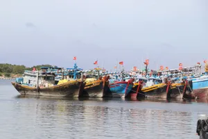 TPHCM tăng cường xử lý các hành vi vi phạm liên quan đến mất kết nối, vô hiệu hóa hoặc không duy trì hoạt động của thiết bị VMS trên tàu cá