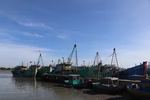 Tàu cá không đủ điều kiện được cơ quan chức năng xã Long Hải quản lý chặt, không cho xuất bến.
