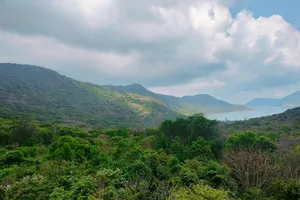 Vườn quốc gia Côn Đảo chủ động phòng chống cháy rừng