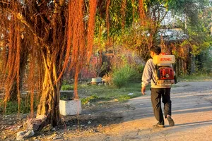 Tiến hành phun xịt thuốc diệt muỗi tại các ổ dịch. Ảnh: THÀNH HUY