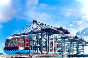 Tàu container cập cảng CMIT thuộc cụm cảng Cái Mép - Thị Vải (phường Tân Phước, TPHCM) làm hàng. Ảnh: THÀNH HUY
