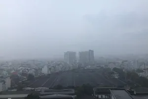 Nhiều khu vực trên địa bàn TPHCM xảy ra mưa vừa, kèm theo với gió giật mạnh trong chiều 12-4