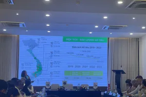 Lợi nhuận cây sầu riêng cao hơn cây hồ tiêu 20 lần