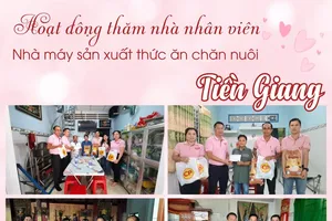 Sôi nổi các hoạt động ESR nhân dịp cuối năm