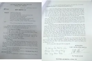 vụ công ty nợ lương chưa trả